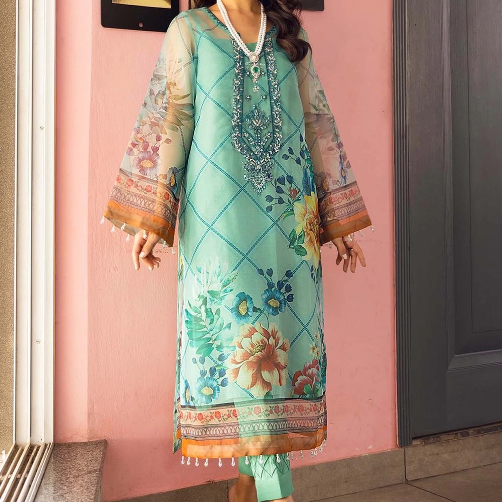 Nureh 2-Piece Organza Salwar Kameez Set
